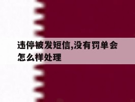违停被发短信,没有罚单会怎么样处理