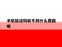 手机验证码收不到什么原因呢