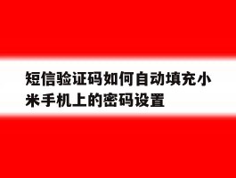 短信验证码如何自动填充小米手机上的密码设置的简单介绍