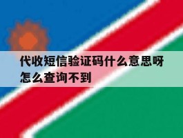 代收短信验证码什么意思呀怎么查询不到