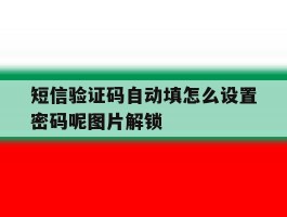 关于短信验证码自动填怎么设置密码呢图片解锁的信息