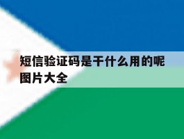 短信验证码是干什么用的呢图片大全