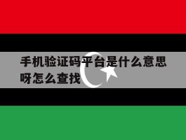 手机验证码平台是什么意思呀怎么查找