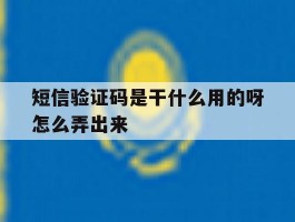 短信验证码是干什么用的呀怎么弄出来