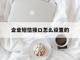 企业短信接口怎么设置的