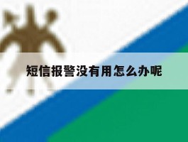 短信报警没有用怎么办呢