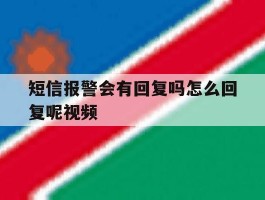 短信报警会有回复吗怎么回复呢视频