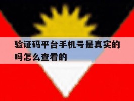 验证码平台手机号是真实的吗怎么查看的