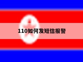 110如何发短信报警