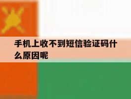 手机上收不到短信验证码什么原因呢