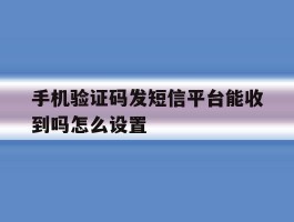 手机验证码发短信平台能收到吗怎么设置