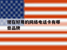 现在好用的网络电话卡有哪些品牌