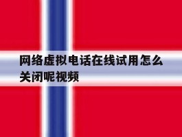 网络虚拟电话在线试用怎么关闭呢视频