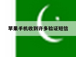 苹果手机收到许多验证短信