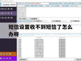 短信设置收不到短信了怎么办呀