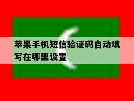 苹果手机短信验证码自动填写在哪里设置