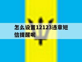 怎么设置12123违章短信提醒呢