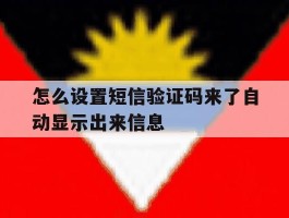 怎么设置短信验证码来了自动显示出来信息