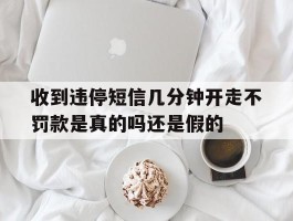包含收到违停短信几分钟开走不罚款是真的吗还是假的的词条