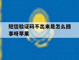 短信验证码不出来是怎么回事呀苹果