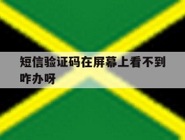 短信验证码在屏幕上看不到咋办呀