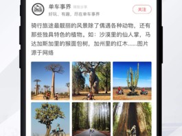 免费打电话网页版软件有哪些好用的软件下载