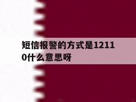 短信报警的方式是12110什么意思呀