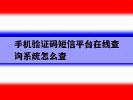 手机验证码短信平台在线查询系统怎么查