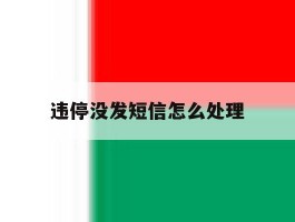 违停没发短信怎么处理
