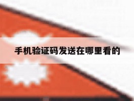 手机验证码发送在哪里看的