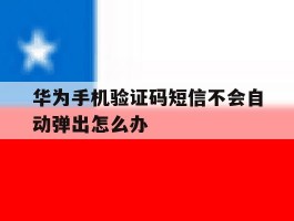 华为手机验证码短信不会自动弹出怎么办
