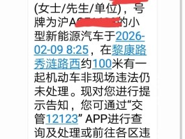 收到违停短信何时可以查询处理进度
