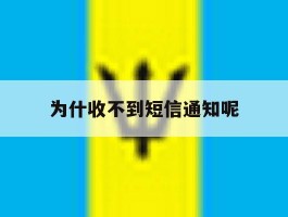 为什收不到短信通知呢