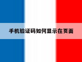 手机验证码如何显示在页面
