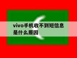 vivo手机收不到短信息是什么原因