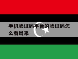 手机验证码平台的验证码怎么看出来