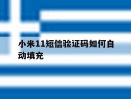 小米11短信验证码如何自动填充