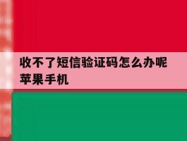 收不了短信验证码怎么办呢苹果手机