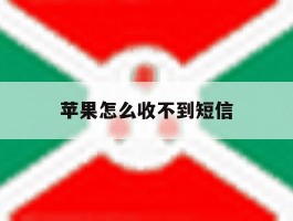 苹果怎么收不到短信