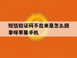 短信验证码不出来是怎么回事呀苹果手机