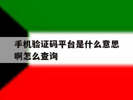 手机验证码平台是什么意思啊怎么查询