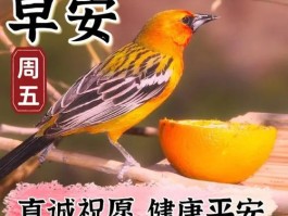 精美短信