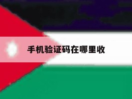 手机验证码在哪里收
