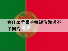 为什么苹果手机短信发送不了图片