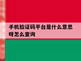 手机验证码平台是什么意思呀怎么查询