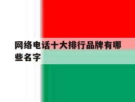 网络电话十大排行品牌有哪些名字