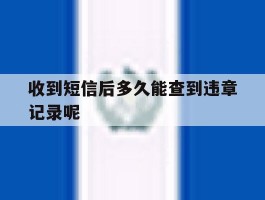 收到短信后多久能查到违章记录呢