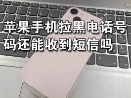 苹果手机发不了短信显示尚未送达怎么办