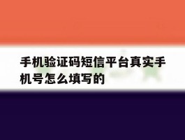 手机验证码短信平台真实手机号怎么填写的