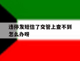 违停发短信了交管上查不到怎么办呀